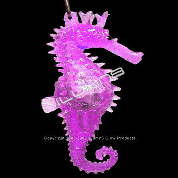 FLASH N/LACE-24PCS/DBOX-JELLY SEAHORSE