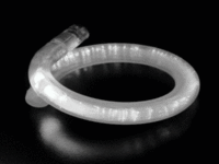 FLASH BRACELET-12PCS/PBAG-F/OPTIC-BLU