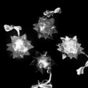 Squeeze N Flash Crystal Star Necklaces (20pcs)