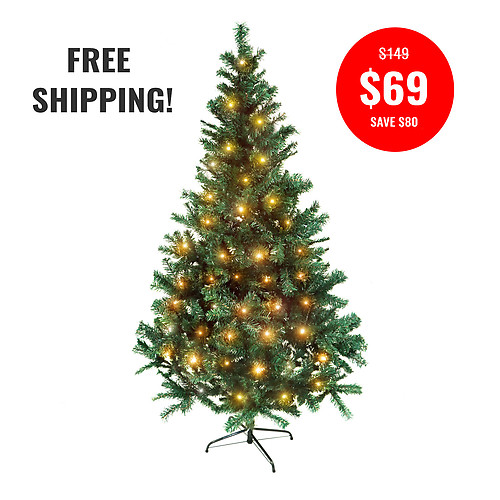 PINE CHRISTMAS TREE-180CM + 10MTR WARM WHITE FAIRY LIGHTS