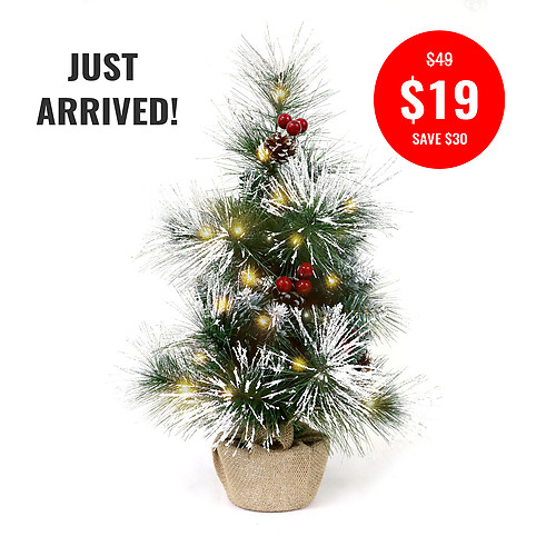 DELUXE FROSTED CHRISTMAS TREE-60CM + 2MTR WW FAIRY LIGHTS