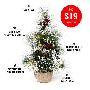 60cm Table Top, Deluxe Snow Frosted Christmas Tree + 2mtrs Warm White Fairy Lights
