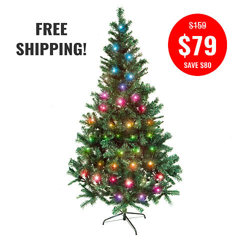 PINE CHRISTMAS TREE-180CM + 10MTR COLOUR CHANGE FAIRY LIGHTS